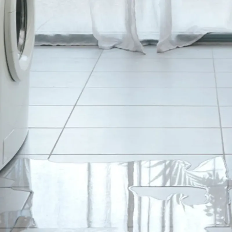 Appliance Leak Cleanup in Brooklyn, IA