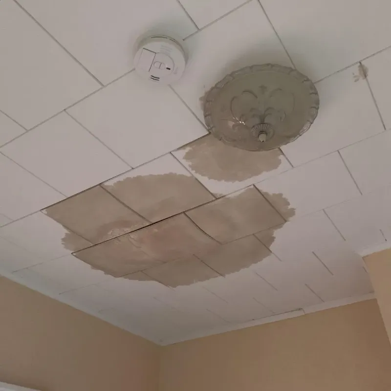 Ceiling Water Damage Repair in Brooklyn, IA