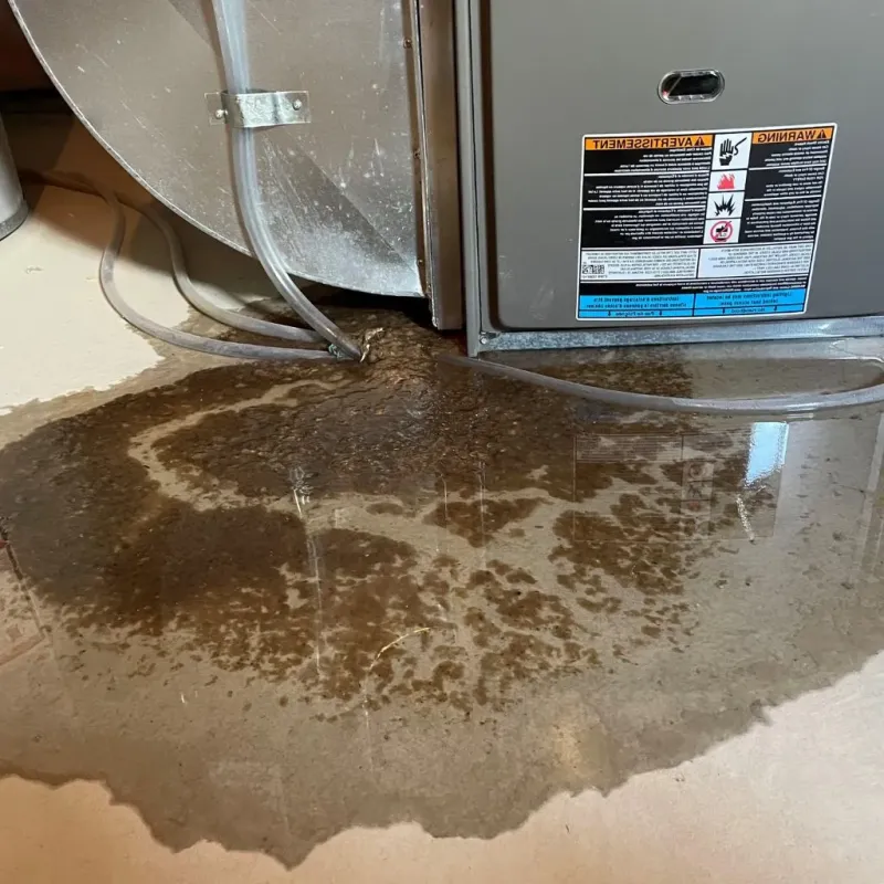 Pipe Burst and Leak Restoration in Brooklyn, IA