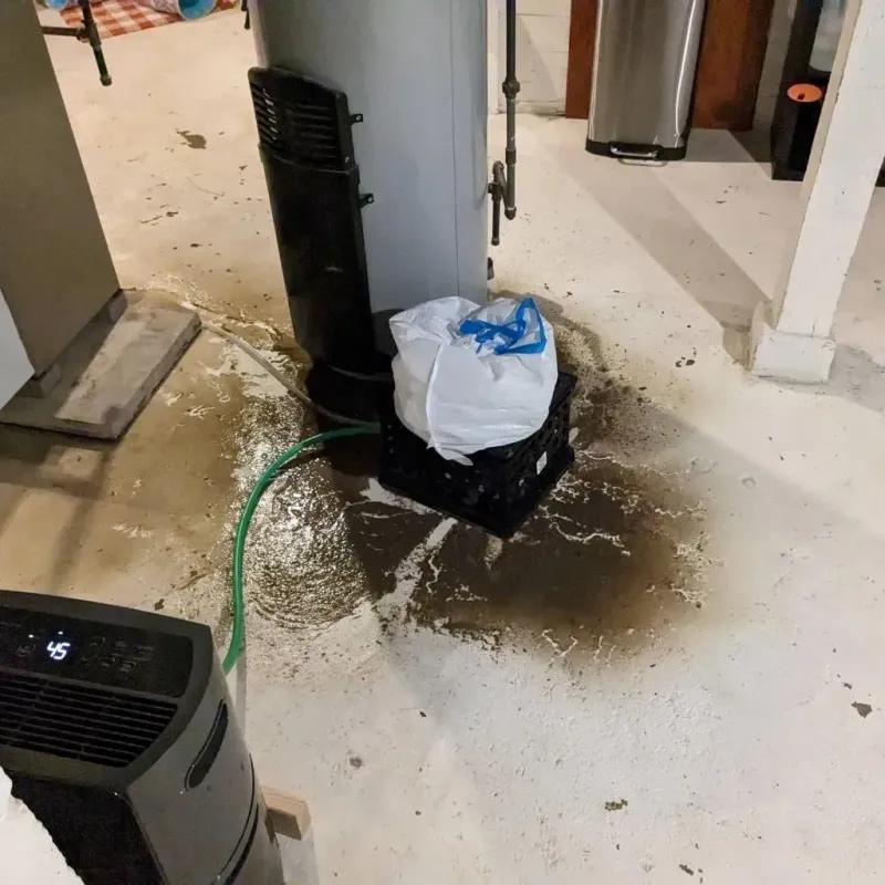 Sewage Backup Cleanup Service in Brooklyn, IA